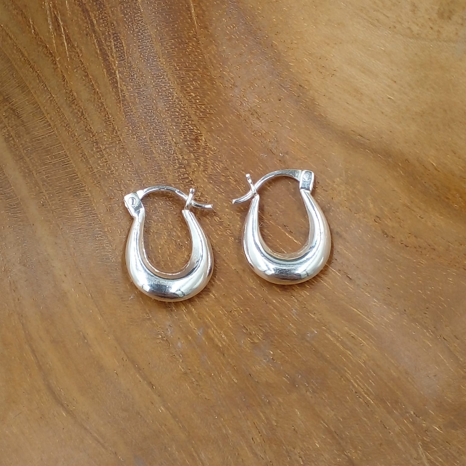 U-Shape Horseshoe Silver Hoop Earrings E1767W125